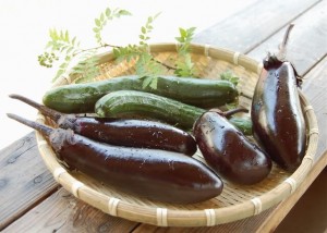 なくなってしまった野菜漬けの素