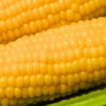 感動したトウモロコシのゆで方