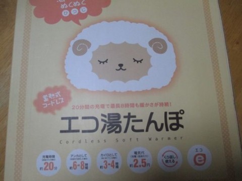 蓄熱式湯たんぽでぬくぬく節約?