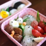 「ほかどん」を試してみる